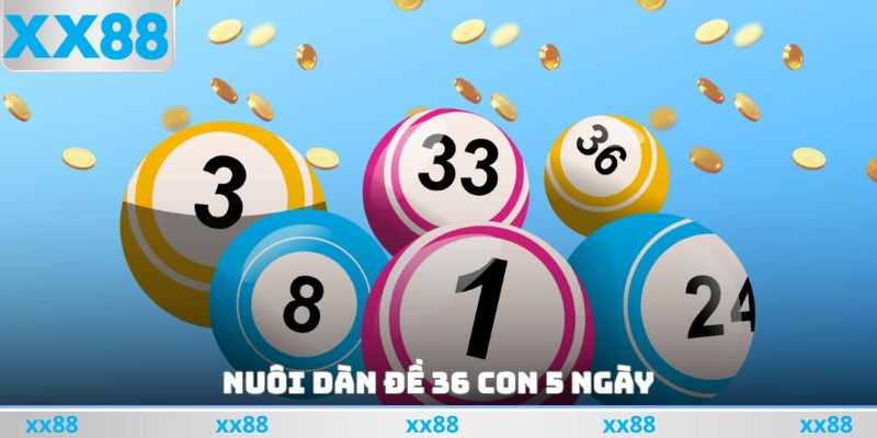 Nuôi dàn đề 36 con 5 ngày